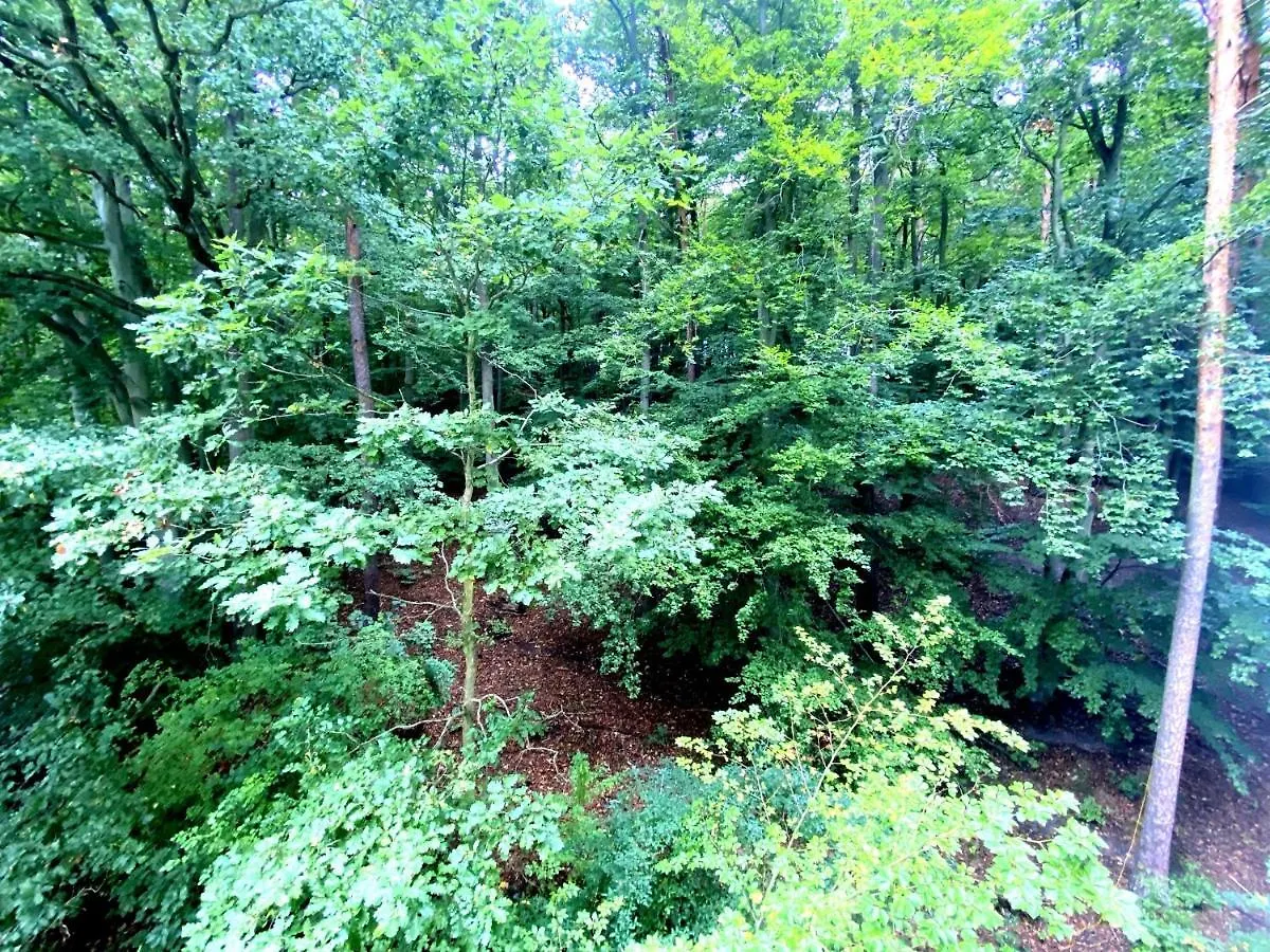 Forest - 23 Marca Sopot By Grand Apartments
